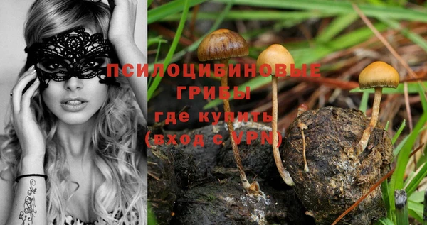 мет Балахна